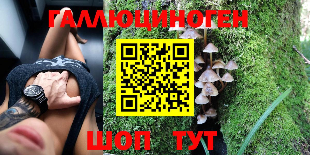 Псилоцибиновые грибы Psilocybine cubensis  Вход с VPN  Коломна 
